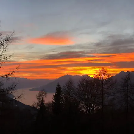 Il Larice D 'Oro